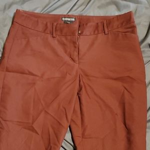 Express editor ankle pant